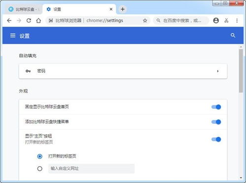比特球瀏覽器軟件下載與使用指南 v1.2.7.1官方版在當易網上的安全獲取